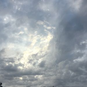 Meet your Posher, Lindsay